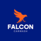 Falcon Carwash